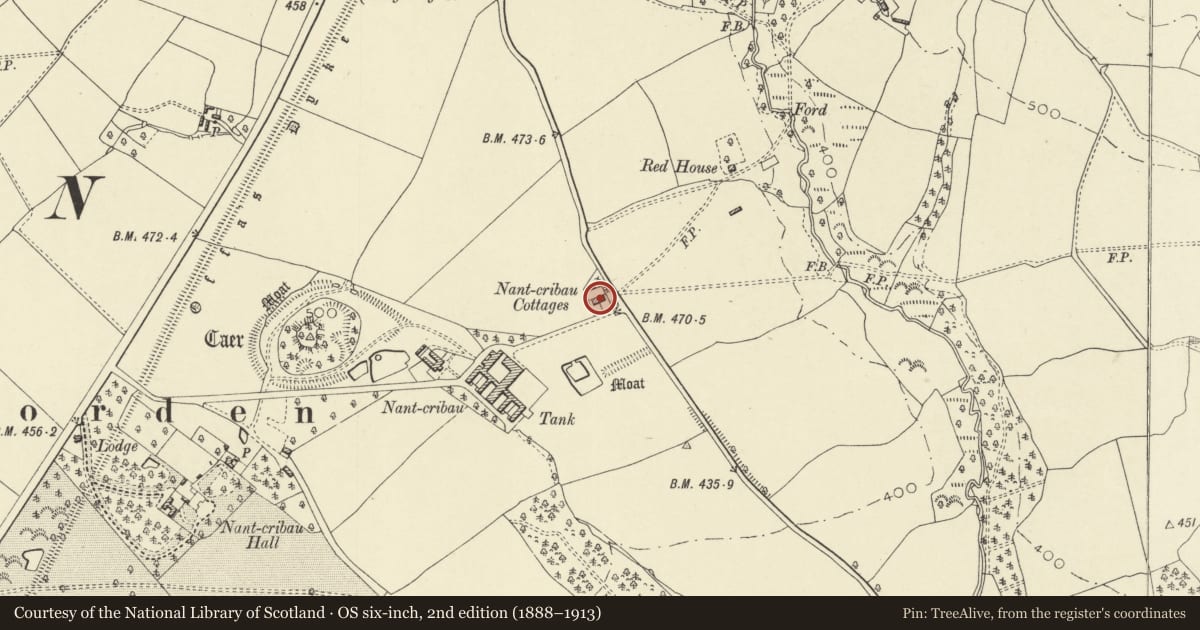 Ordnance Survey six-inch map, 2nd edition (1888–1913) covering the location of Nantcribba Cottages, Forden with Leighton and Trelystan, Powys, with a pin at the register's coordinates