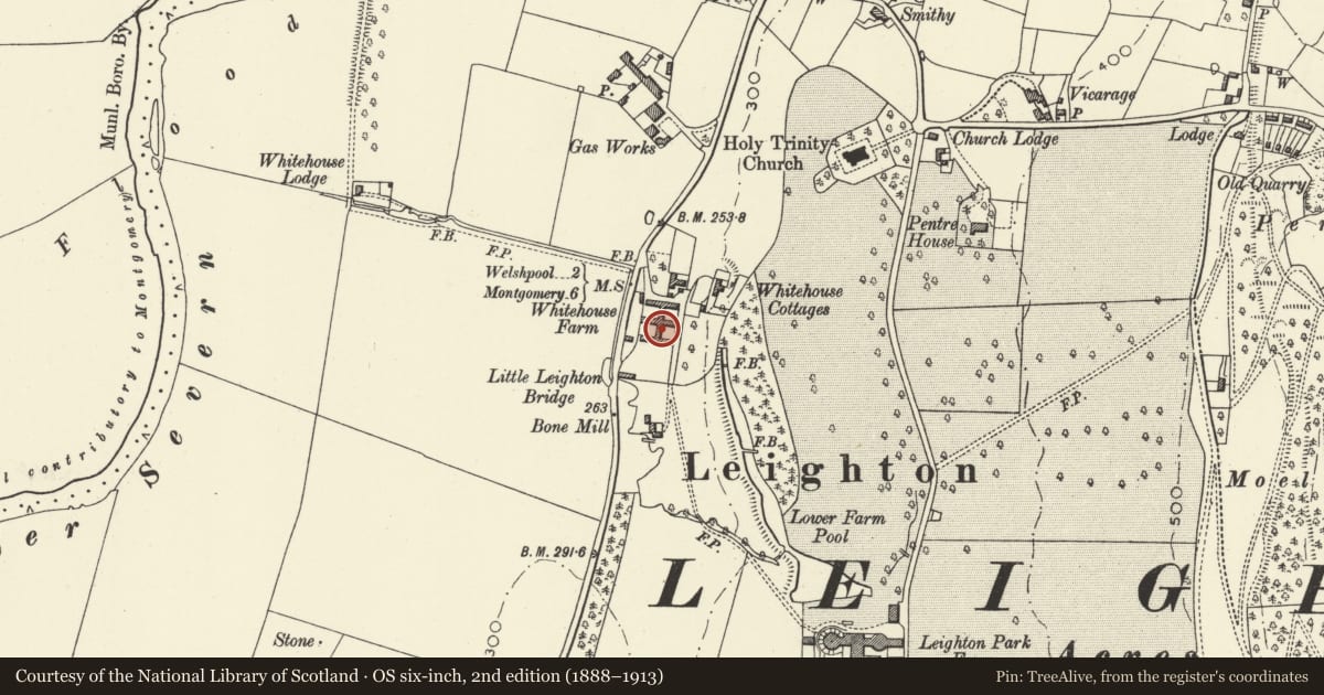 Ordnance Survey six-inch map, 2nd edition (1888–1913) covering the location of Former Saw Mill and Farm Buildings at Severnleigh, Forden with Leighton and Trelystan, Powys, with a pin at the register's coordinates