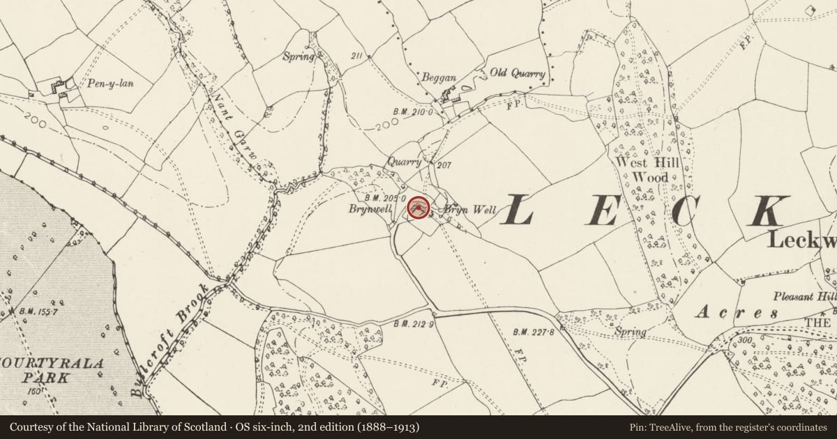 Ordnance Survey six-inch map, 2nd edition (1888–1913) covering the location of Brynwell Farm including attached agricultural buildings, Michaelston-le-Pit and Leckwith, Vale of Glamorgan, with a pin at the register's coordinates