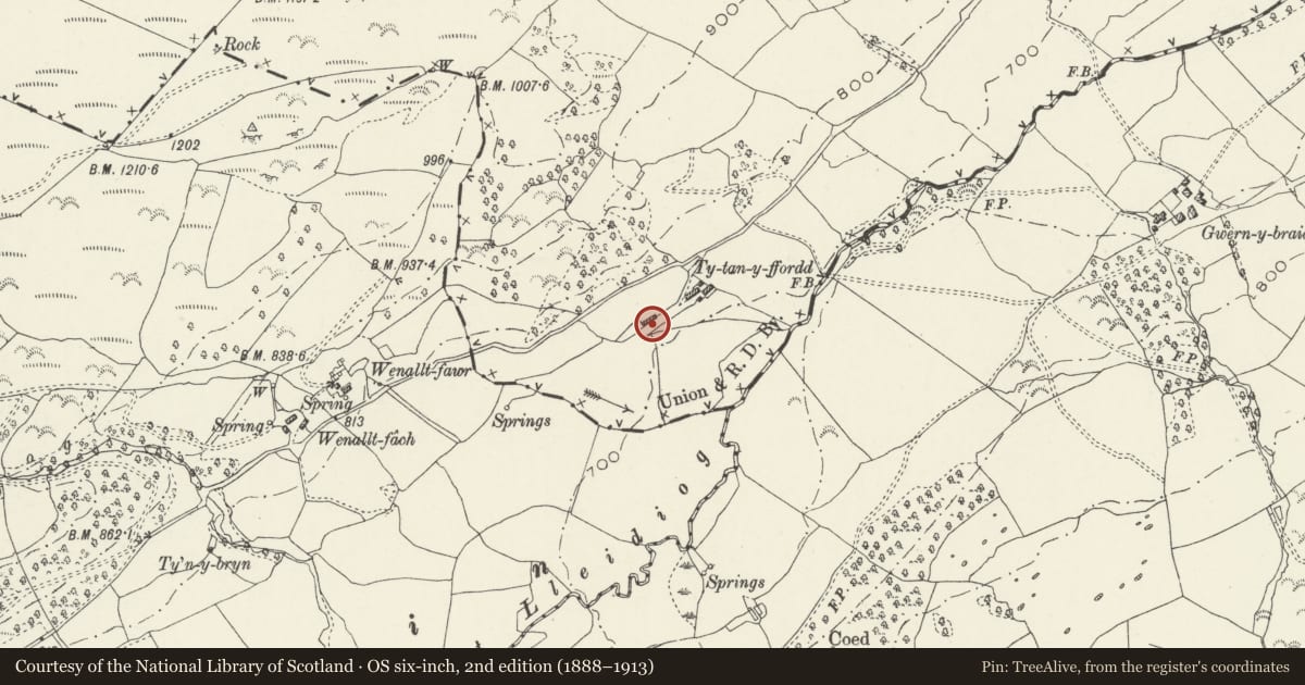 Ordnance Survey six-inch map, 2nd edition (1888–1913) covering the location of Ty tan-y-ffordd, Llangwm, Conwy, with a pin at the register's coordinates