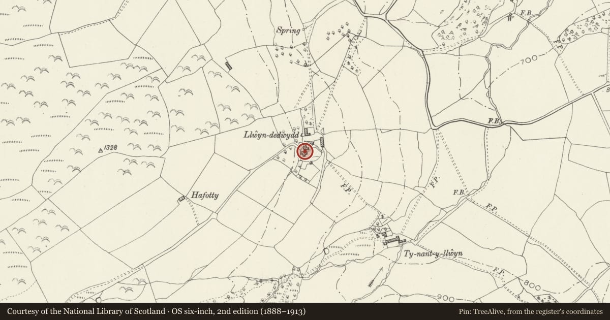 Ordnance Survey six-inch map, 2nd edition (1888–1913) covering the location of Llwyn-dedwydd, Llangwm, Conwy, with a pin at the register's coordinates