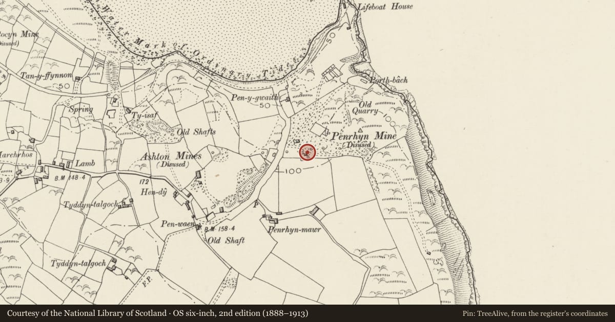 Ordnance Survey six-inch map, 2nd edition (1888–1913) covering the location of Engine-house Tower by Tower Cottage, Llanengan, Gwynedd, with a pin at the register's coordinates