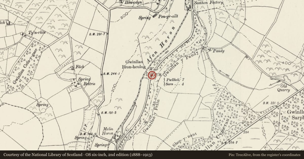 Ordnance Survey six-inch map, 2nd edition (1888–1913) covering the location of Milestone, Llanengan, Gwynedd, with a pin at the register's coordinates