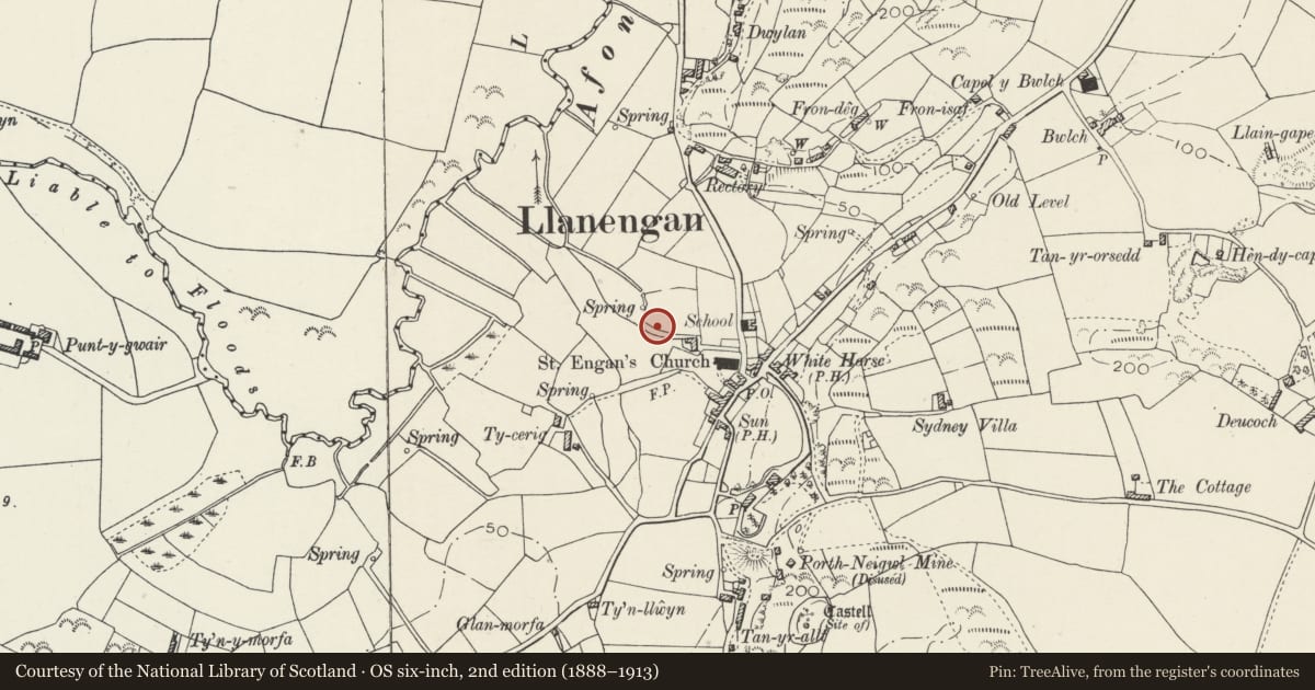 Ordnance Survey six-inch map, 2nd edition (1888–1913) covering the location of Ffynnon Engan, Llanengan, Gwynedd, with a pin at the register's coordinates