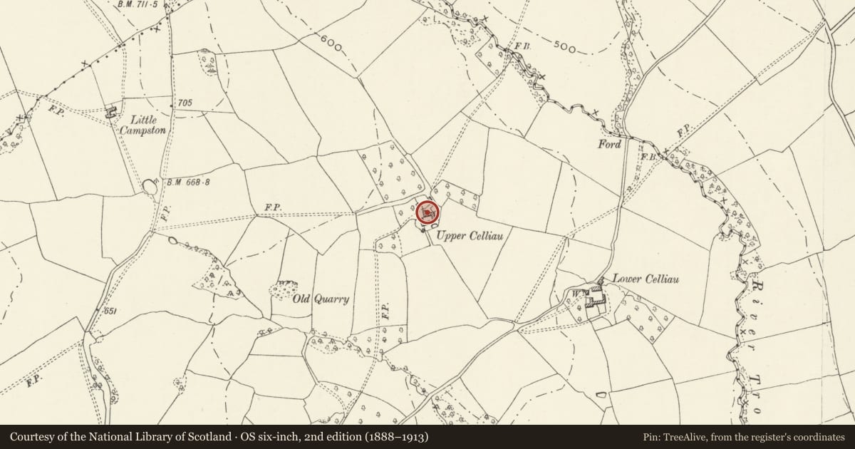 Ordnance Survey six-inch map, 2nd edition (1888–1913) covering the location of Upper Kathlea (aka Upper Celliau), Grosmont, Monmouthshire, with a pin at the register's coordinates