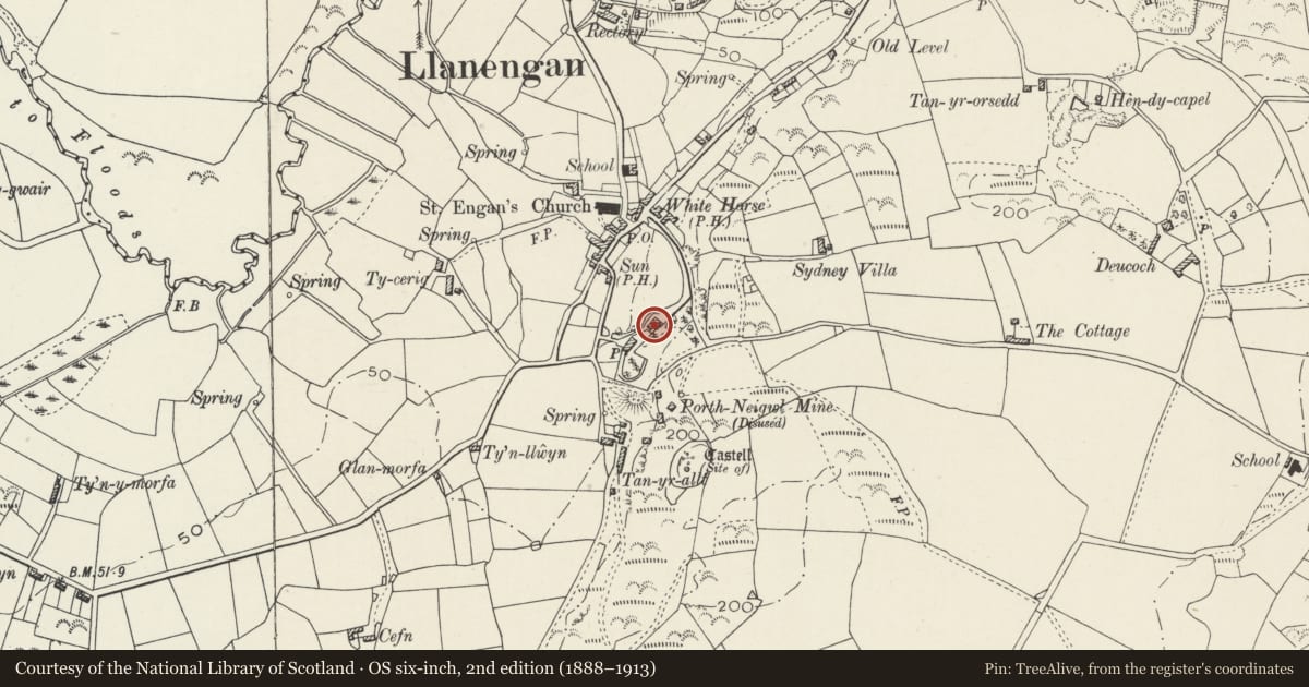 Ordnance Survey six-inch map, 2nd edition (1888–1913) covering the location of The Rock, Llanengan, Gwynedd, with a pin at the register's coordinates