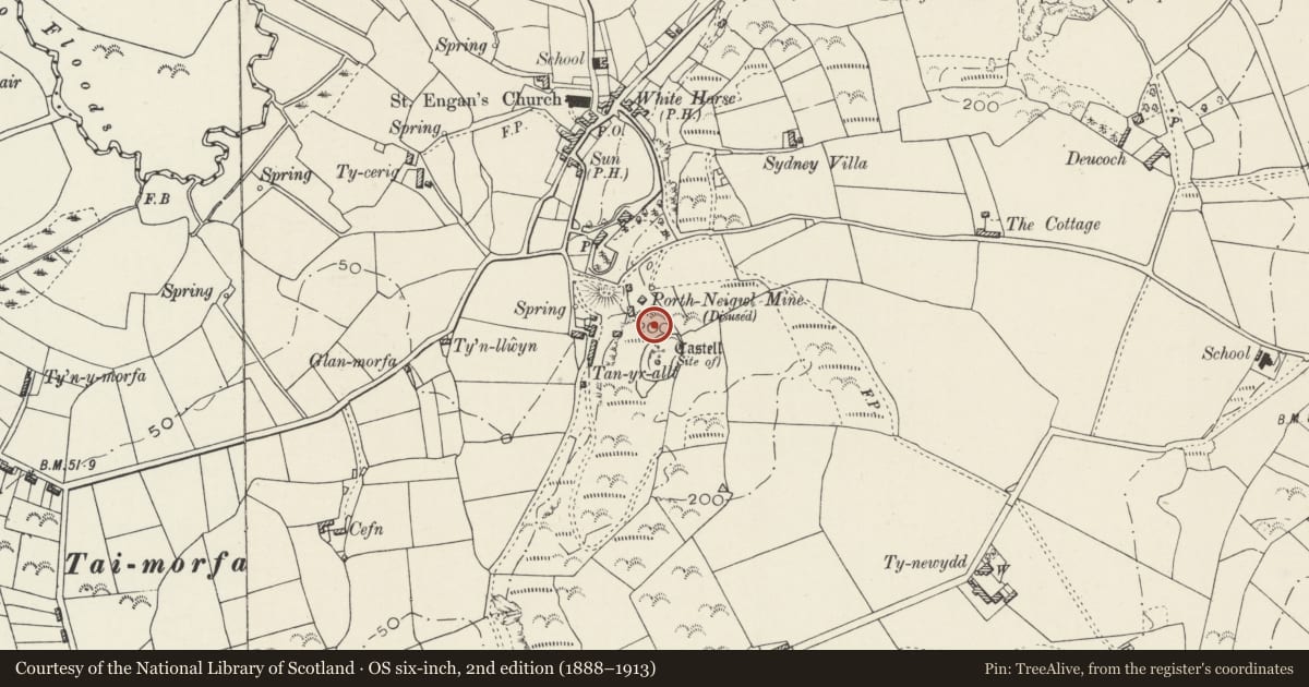 Ordnance Survey six-inch map, 2nd edition (1888–1913) covering the location of Chimney of former Llanengan Lead-mine, Gwynedd, with a pin at the register's coordinates