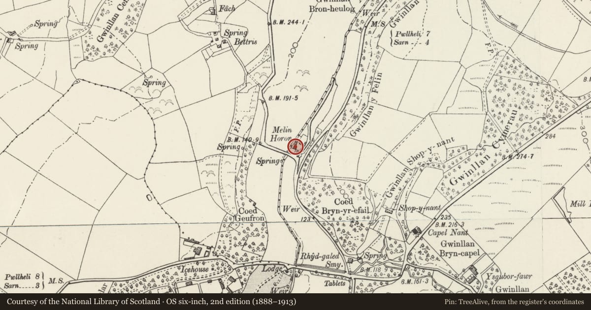 Ordnance Survey six-inch map, 2nd edition (1888–1913) covering the location of Felin Newydd, Llanengan, Gwynedd, with a pin at the register's coordinates