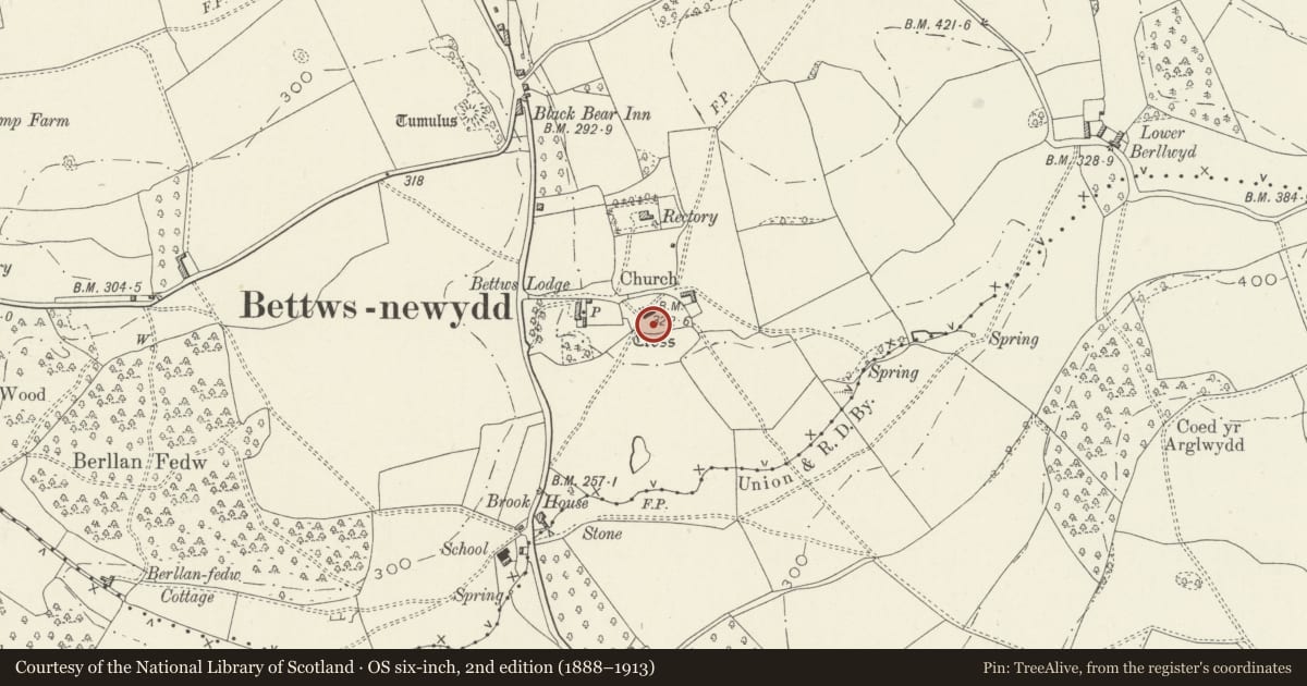 Ordnance Survey six-inch map, 2nd edition (1888–1913) covering the location of Cross in Bettws Newydd Churchyard, Llanarth, Monmouthshire, with a pin at the register's coordinates