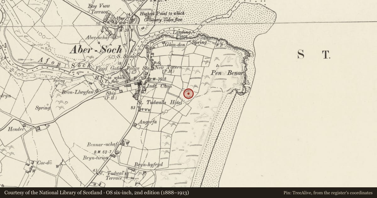 Ordnance Survey six-inch map, 2nd edition (1888–1913) covering the location of Haulfryn, Llanengan, Gwynedd, with a pin at the register's coordinates