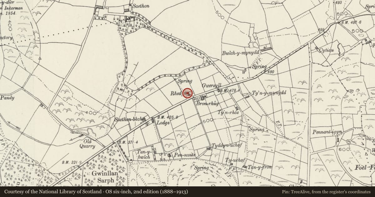 Ordnance Survey six-inch map, 2nd edition (1888–1913) covering the location of Rhedyn, Llanengan, Gwynedd, with a pin at the register's coordinates