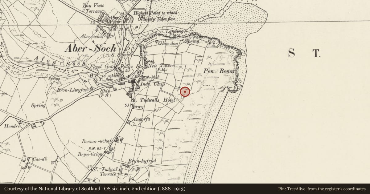 Ordnance Survey six-inch map, 2nd edition (1888–1913) covering the location of Terrace Pavilion at Haulfryn, Llanengan, Gwynedd, with a pin at the register's coordinates