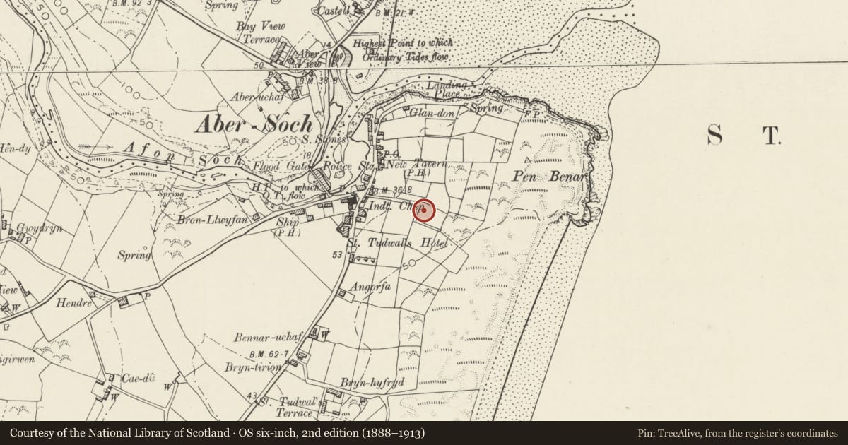 Ordnance Survey six-inch map, 2nd edition (1888–1913) covering the location of Pigeon-tower at Haulfryn, Llanengan, Gwynedd, with a pin at the register's coordinates