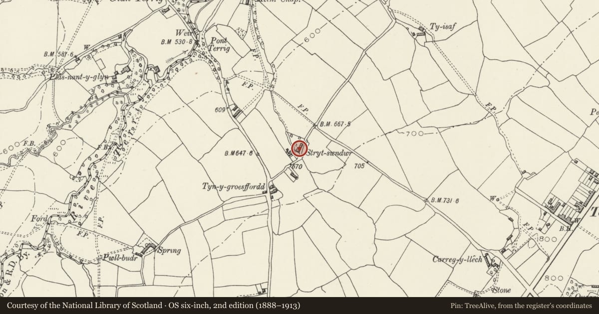 Ordnance Survey six-inch map, 2nd edition (1888–1913) covering the location of Stryt Swndwr, Treuddyn, Flintshire, with a pin at the register's coordinates