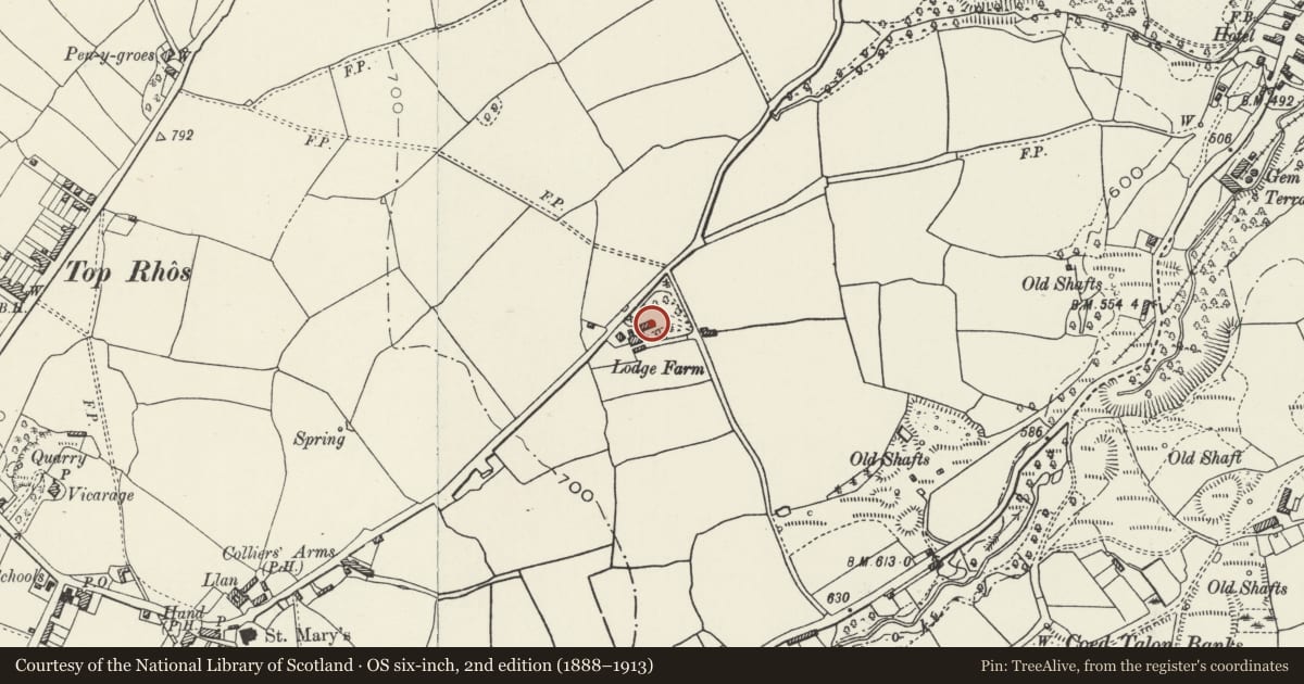 Ordnance Survey six-inch map, 2nd edition (1888–1913) covering the location of Treuddyn Lodge House, Flintshire, with a pin at the register's coordinates
