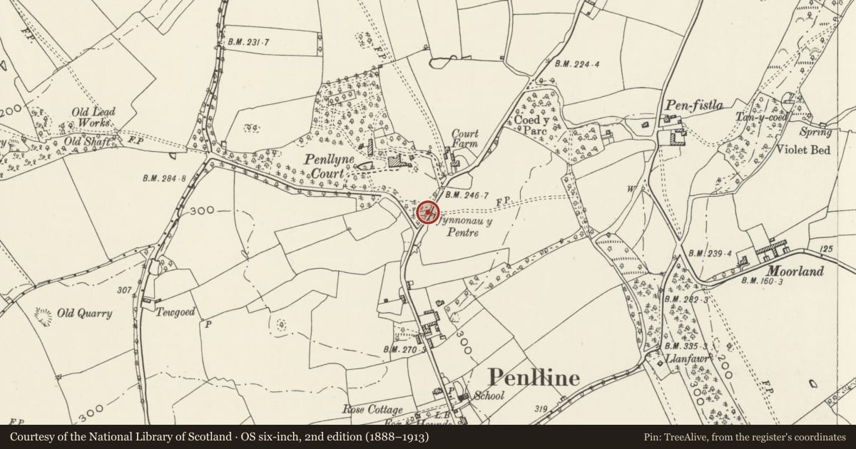 Ordnance Survey six-inch map, 2nd edition (1888–1913) covering the location of Easternmost Salmon Well, Penllyn, Vale of Glamorgan, with a pin at the register's coordinates