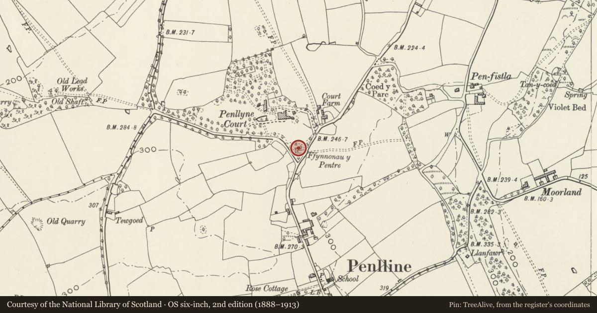 Ordnance Survey six-inch map, 2nd edition (1888–1913) covering the location of Central Salmon Well, Penllyn, Vale of Glamorgan, with a pin at the register's coordinates