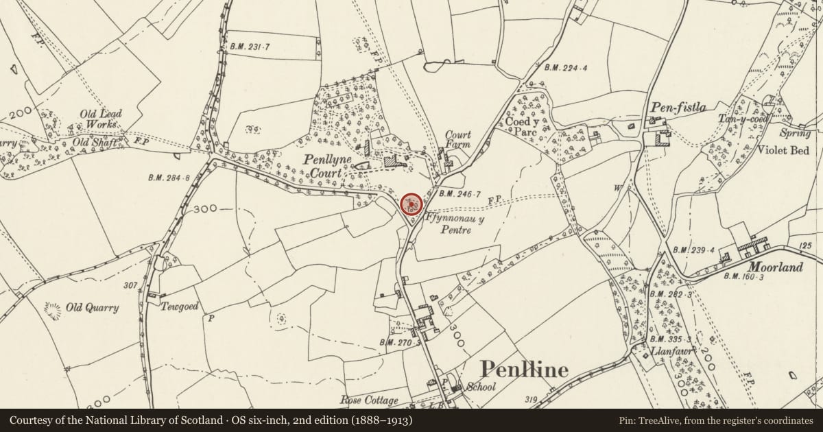 Ordnance Survey six-inch map, 2nd edition (1888–1913) covering the location of Westernmost Salmon Well, Penllyn, Vale of Glamorgan, with a pin at the register's coordinates