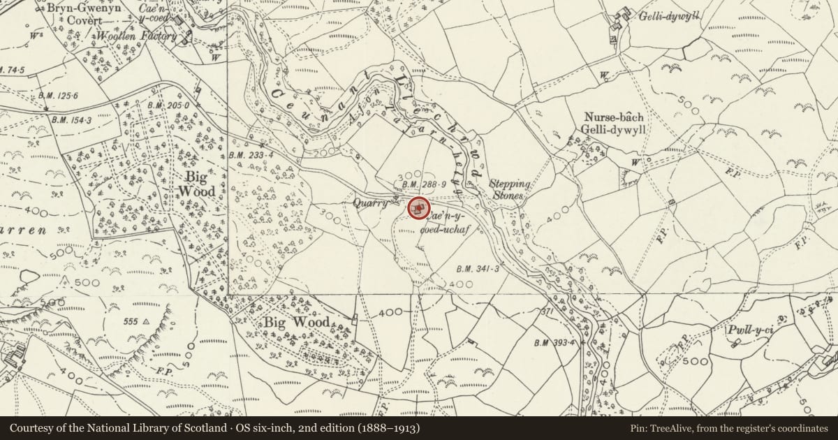 Ordnance Survey six-inch map, 2nd edition (1888–1913) covering the location of Cae'n y Coed Uchaf, Maentwrog, Gwynedd, with a pin at the register's coordinates