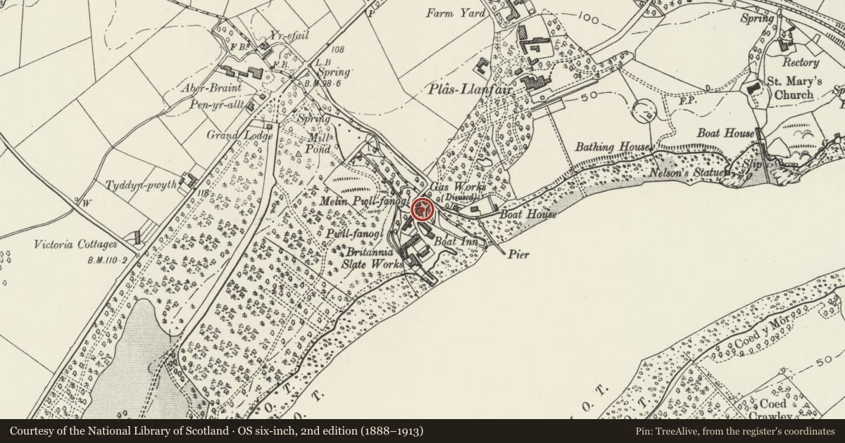 Ordnance Survey six-inch map, 2nd edition (1888–1913) covering the location of Hen Felin, Llanfair Pwllgwyngyll, Isle of Anglesey, with a pin at the register's coordinates