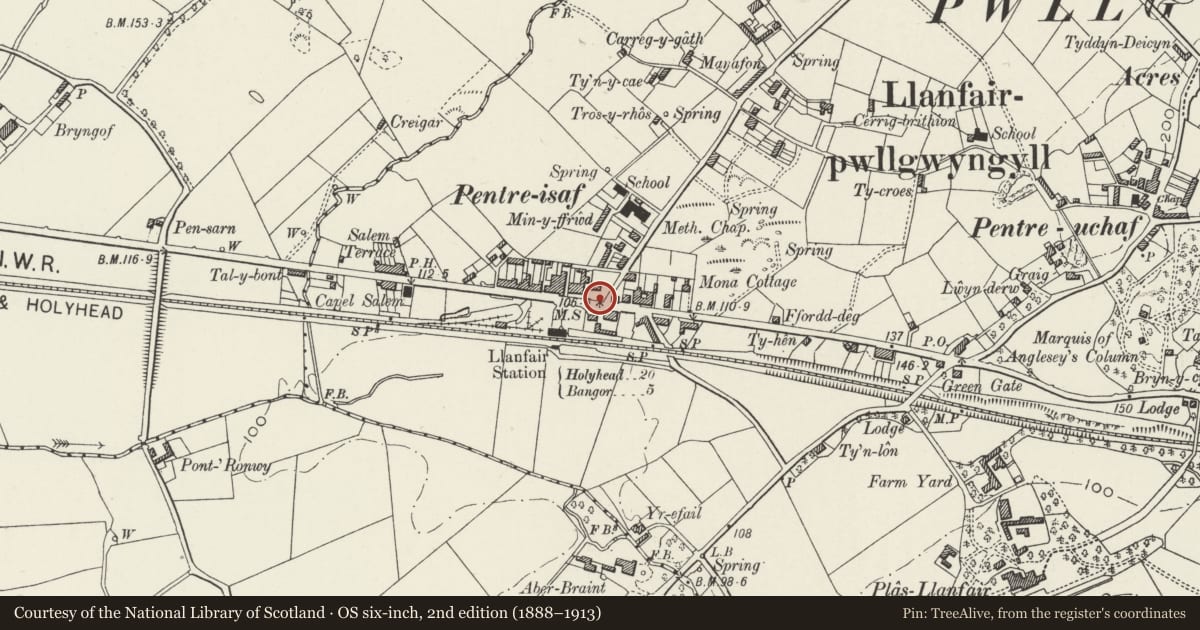 Ordnance Survey six-inch map, 2nd edition (1888–1913) covering the location of Telford Milestone (20), Llanfair Pwllgwyngyll, Isle of Anglesey, with a pin at the register's coordinates
