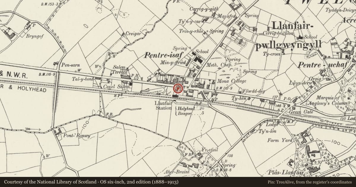 Ordnance Survey six-inch map, 2nd edition (1888–1913) covering the location of War Memorial, Llanfair Pwllgwyngyll, Isle of Anglesey, with a pin at the register's coordinates