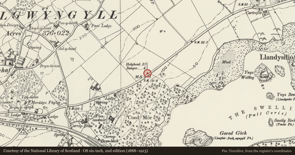 Ordnance Survey six-inch map, 2nd edition (1888–1913) covering the location of Telford Milestone (21), Llanfair Pwllgwyngyll, Isle of Anglesey, with a pin at the register's coordinates