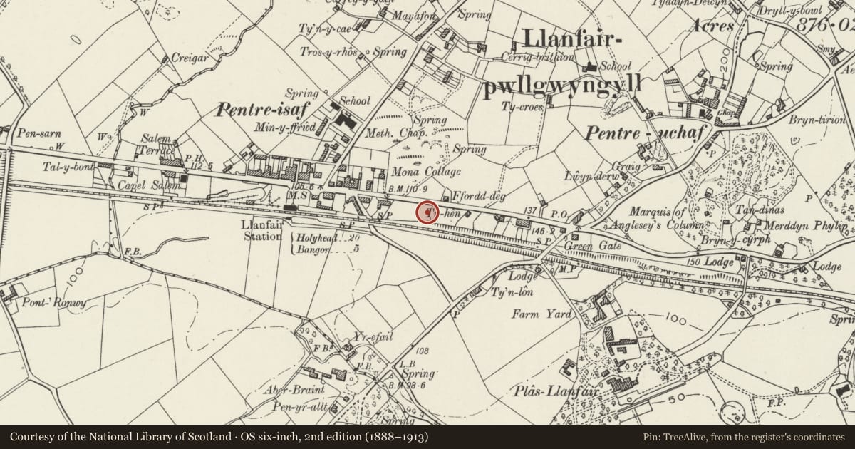 Ordnance Survey six-inch map, 2nd edition (1888–1913) covering the location of Tregarne, Llanfair Pwllgwyngyll, Isle of Anglesey, with a pin at the register's coordinates