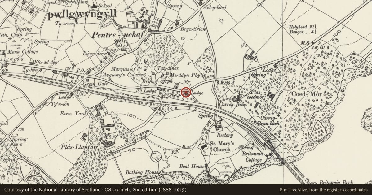 Ordnance Survey six-inch map, 2nd edition (1888–1913) covering the location of Gate piers and gates at White Lodge, Llanfair Pwllgwyngyll, Isle of Anglesey, with a pin at the register's coordinates