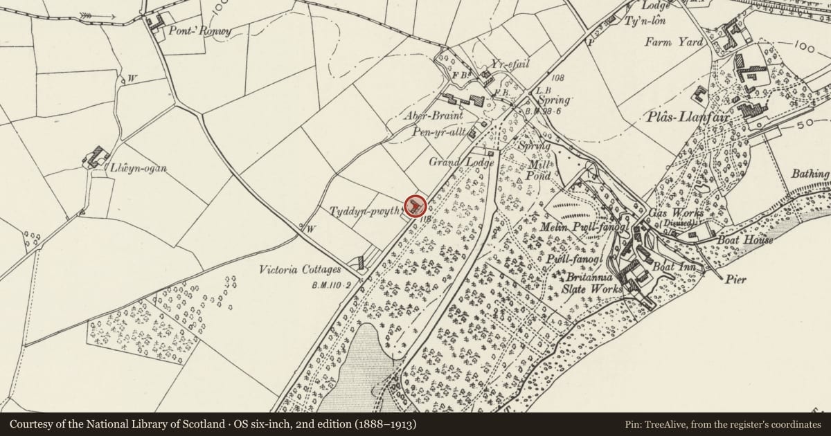 Ordnance Survey six-inch map, 2nd edition (1888–1913) covering the location of Tyddyn Pwyth, Llanfair Pwllgwyngyll, Isle of Anglesey, with a pin at the register's coordinates
