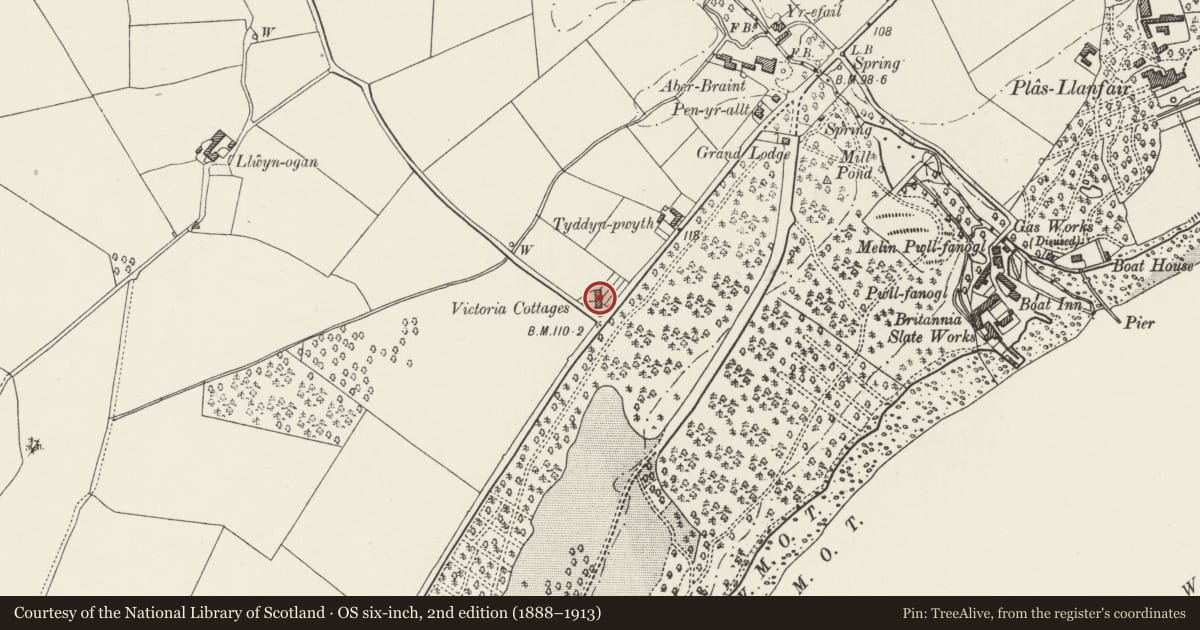 Ordnance Survey six-inch map, 2nd edition (1888–1913) covering the location of Victoria Cottages, Llanfair Pwllgwyngyll, Isle of Anglesey, with a pin at the register's coordinates