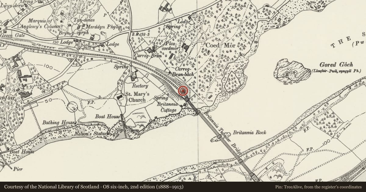 Ordnance Survey six-inch map, 2nd edition (1888–1913) covering the location of Lion on E side of the N entrance to Britannia Bridge, Llanfair Pwllgwyngyll, Isle of Anglesey, with a pin at the register's coordinates
