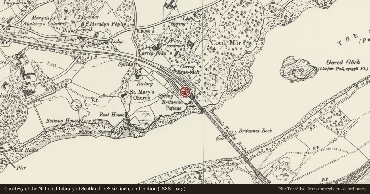 Ordnance Survey six-inch map, 2nd edition (1888–1913) covering the location of Lion on W side of the N entrance to Britannia Bridge, Llanfair Pwllgwyngyll, Isle of Anglesey, with a pin at the register's coordinates