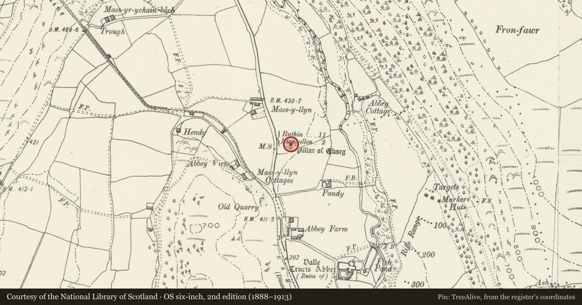 Ordnance Survey six-inch map, 2nd edition (1888–1913) covering the location of Pillar of Eliseg, Llantysilio, Denbighshire, with a pin at the register's coordinates