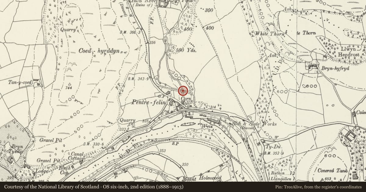 Ordnance Survey six-inch map, 2nd edition (1888–1913) covering the location of Pentrefelin Tramway Viaduct, Llantysilio, Denbighshire, with a pin at the register's coordinates