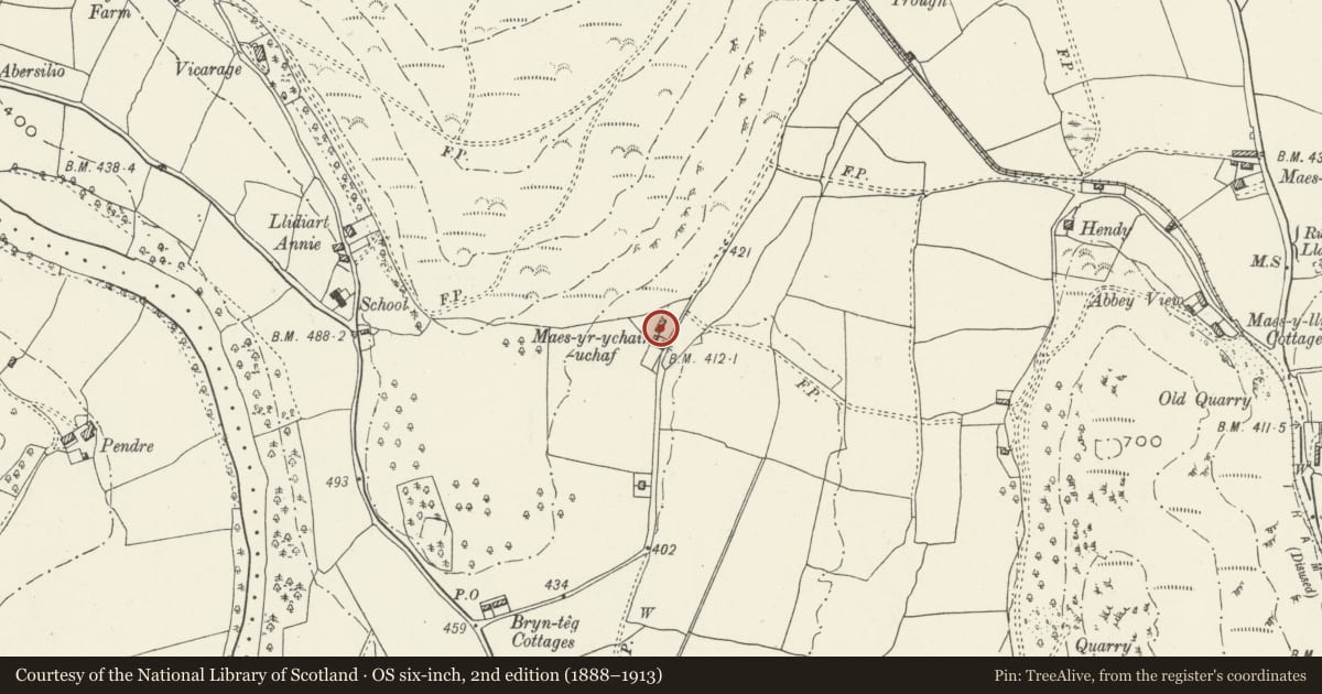 Ordnance Survey six-inch map, 2nd edition (1888–1913) covering the location of Maesyrychen uchaf, Llantysilio, Denbighshire, with a pin at the register's coordinates