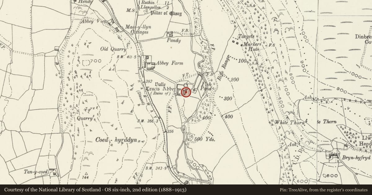 Ordnance Survey six-inch map, 2nd edition (1888–1913) covering the location of Valle Crucis Abbey, Llantysilio, Denbighshire, with a pin at the register's coordinates