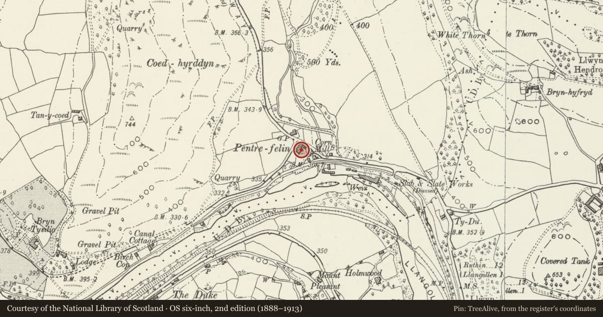 Ordnance Survey six-inch map, 2nd edition (1888–1913) covering the location of Pentrefelin House, Llantysilio, Denbighshire, with a pin at the register's coordinates