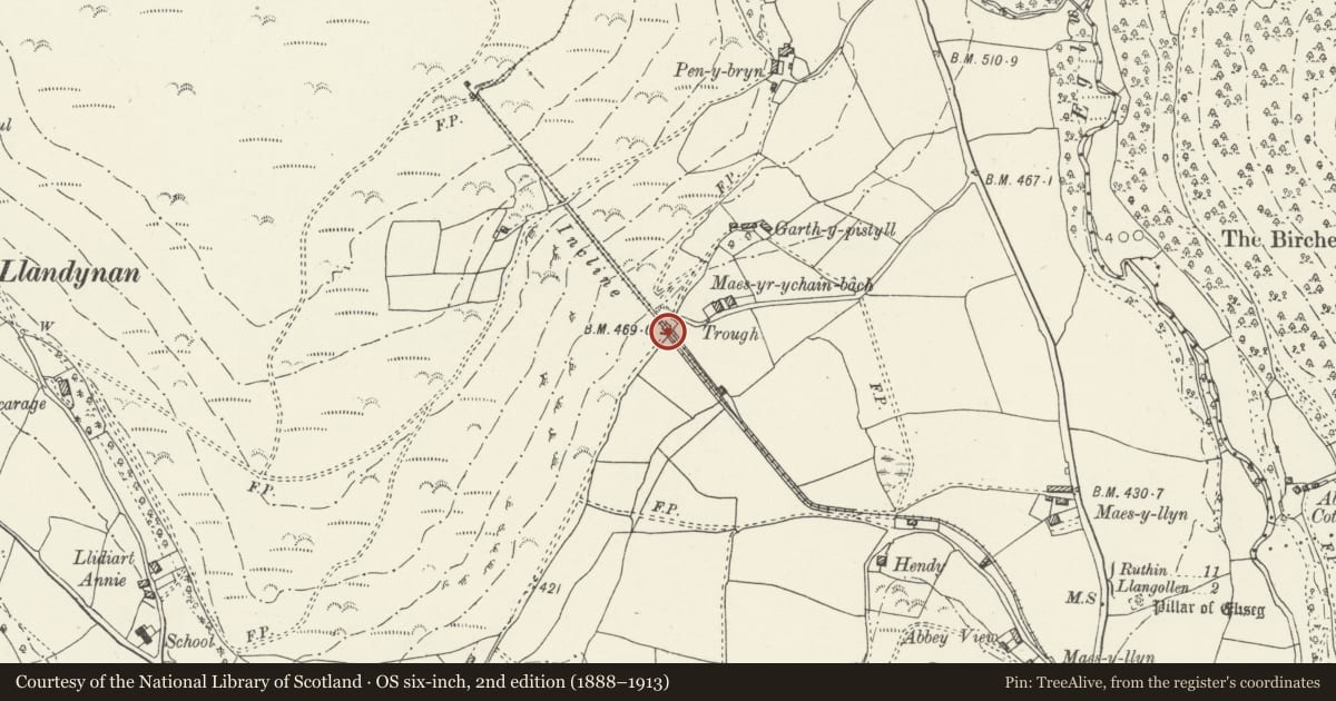 Ordnance Survey six-inch map, 2nd edition (1888–1913) covering the location of Tramway Bridge at Maes-yr-ychain, Llantysilio, Denbighshire, with a pin at the register's coordinates