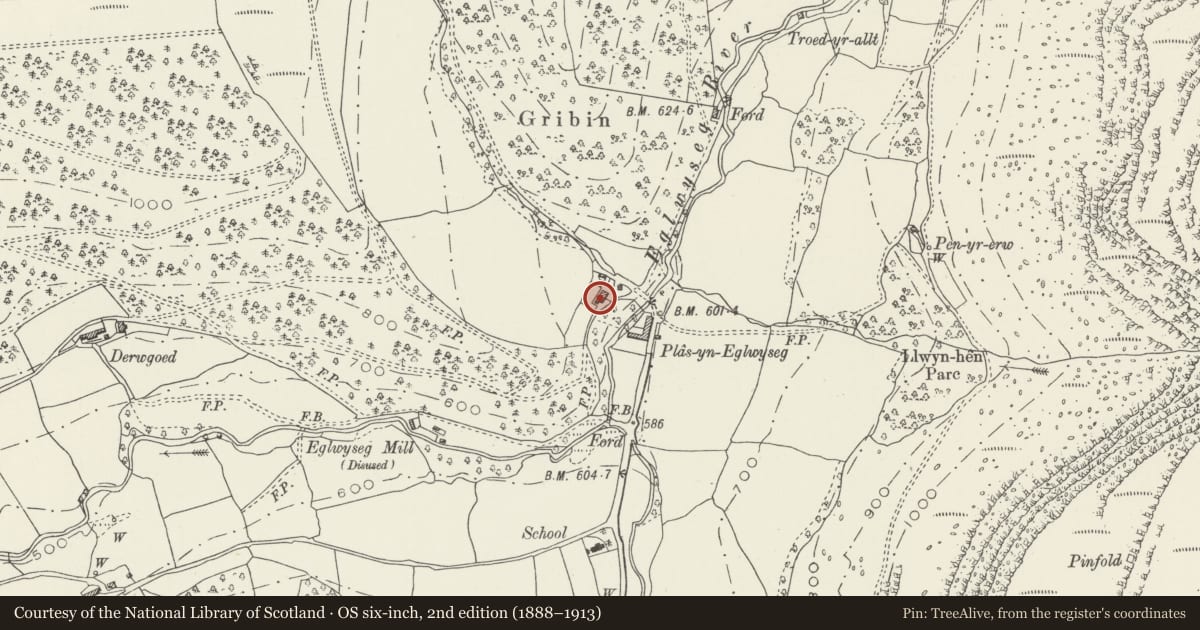 Ordnance Survey six-inch map, 2nd edition (1888–1913) covering the location of Plas yn Eglwyseg, Llantysilio, Denbighshire, with a pin at the register's coordinates