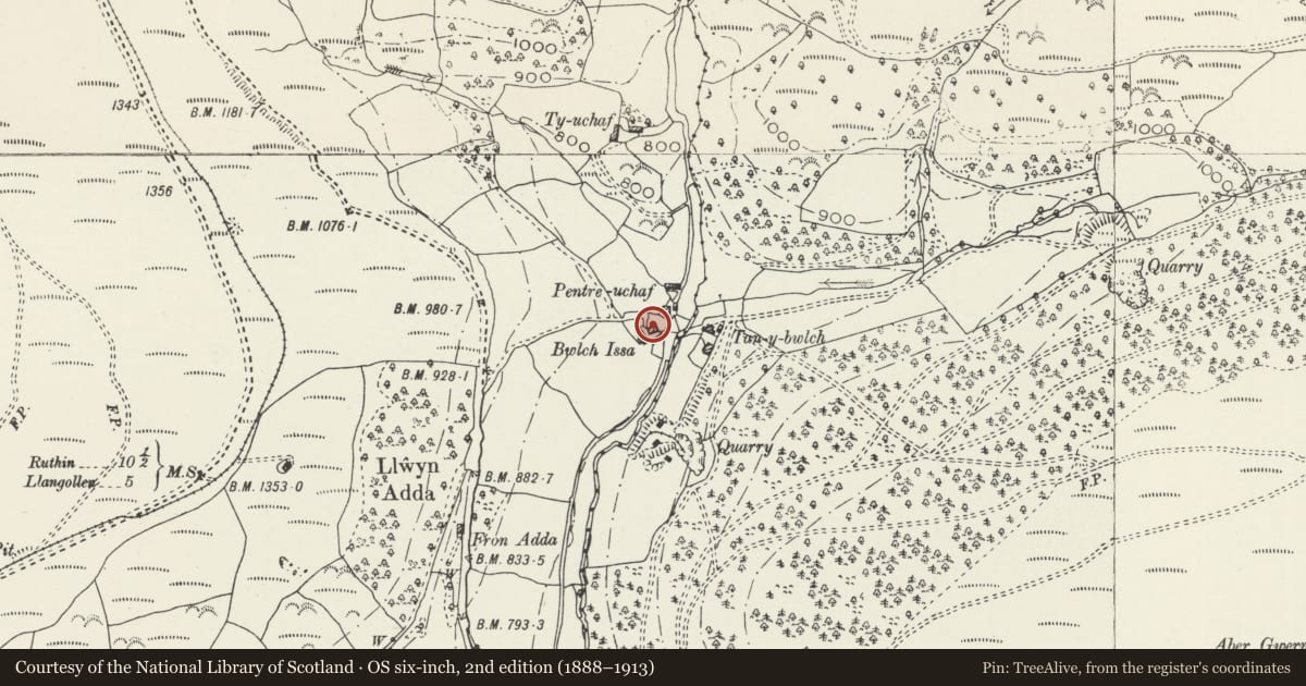 Ordnance Survey six-inch map, 2nd edition (1888–1913) covering the location of Bwlch-issa Farmhouse, Llantysilio, Denbighshire, with a pin at the register's coordinates