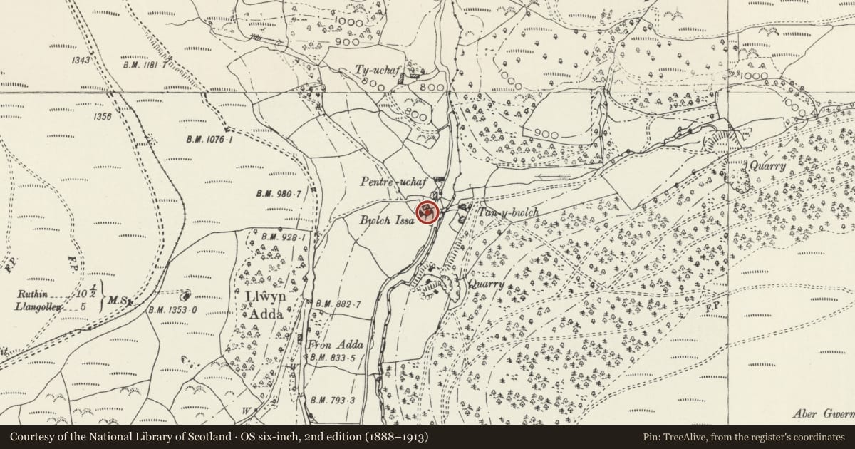 Ordnance Survey six-inch map, 2nd edition (1888–1913) covering the location of Outbuilding at Bwlch-issa, Llantysilio, Denbighshire, with a pin at the register's coordinates