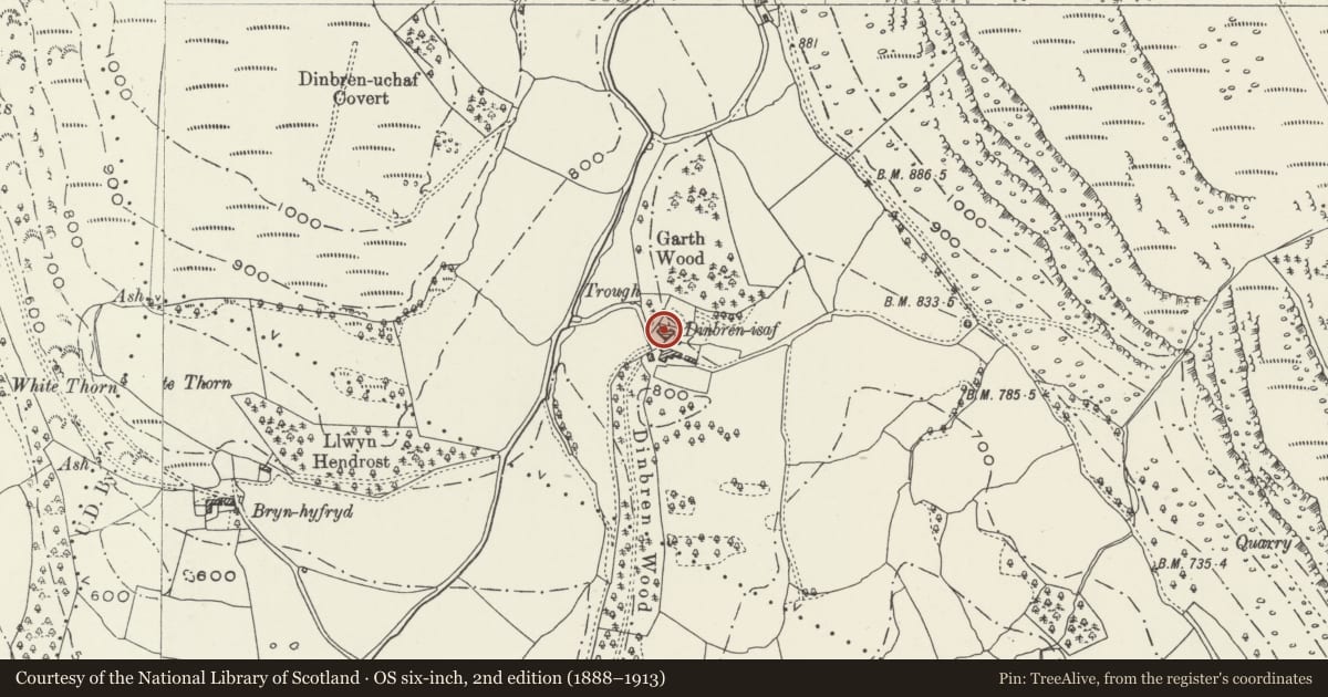 Ordnance Survey six-inch map, 2nd edition (1888–1913) covering the location of Dinbren-isaf, Llantysilio, Denbighshire, with a pin at the register's coordinates
