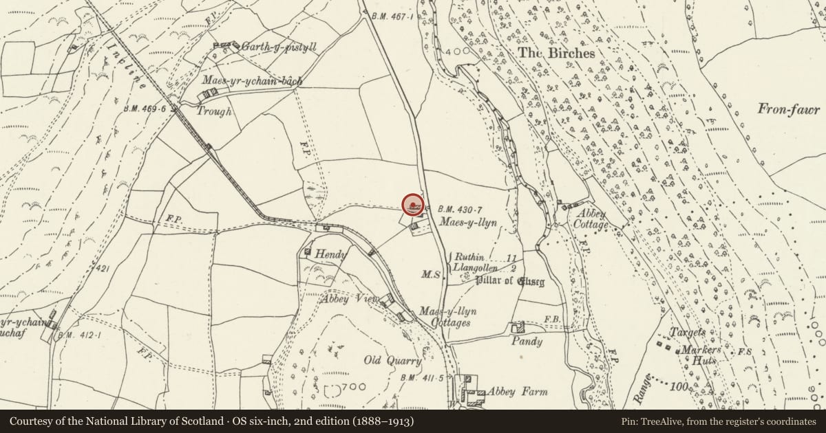 Ordnance Survey six-inch map, 2nd edition (1888–1913) covering the location of Maes-y-llyn Farm Building, Llantysilio, Denbighshire, with a pin at the register's coordinates