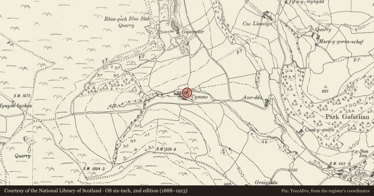 Ordnance Survey six-inch map, 2nd edition (1888–1913) covering the location of Cymmo, Llantysilio, Denbighshire, with a pin at the register's coordinates