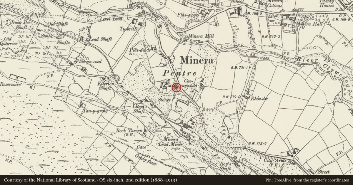 Ordnance Survey six-inch map, 2nd edition (1888–1913) covering the location of Cae Mynydd, Minera, Wrexham, with a pin at the register's coordinates
