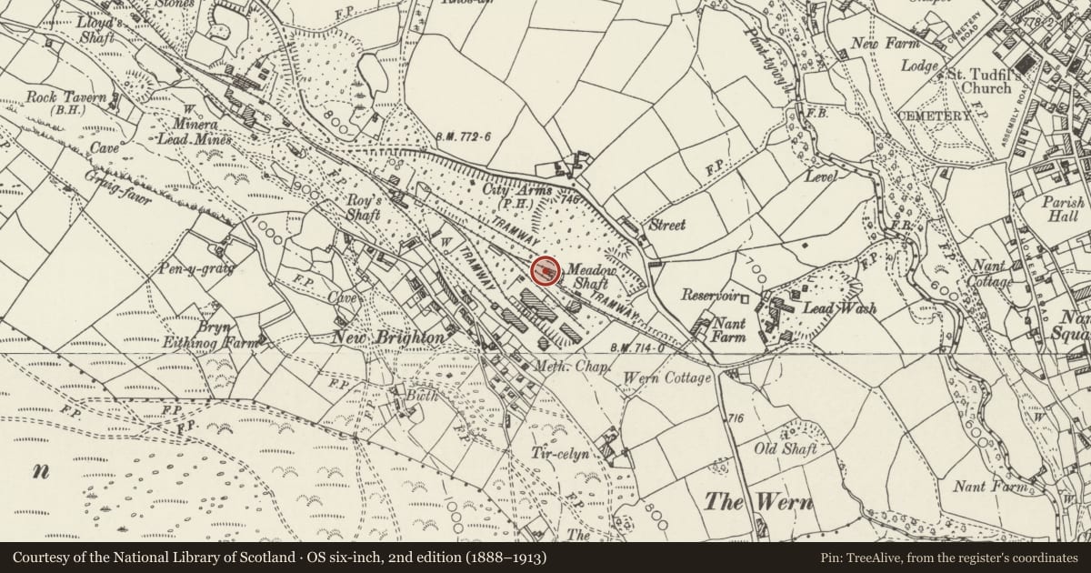 Ordnance Survey six-inch map, 2nd edition (1888–1913) covering the location of Chimney near Meadow Engine House, Minera, Wrexham, with a pin at the register's coordinates