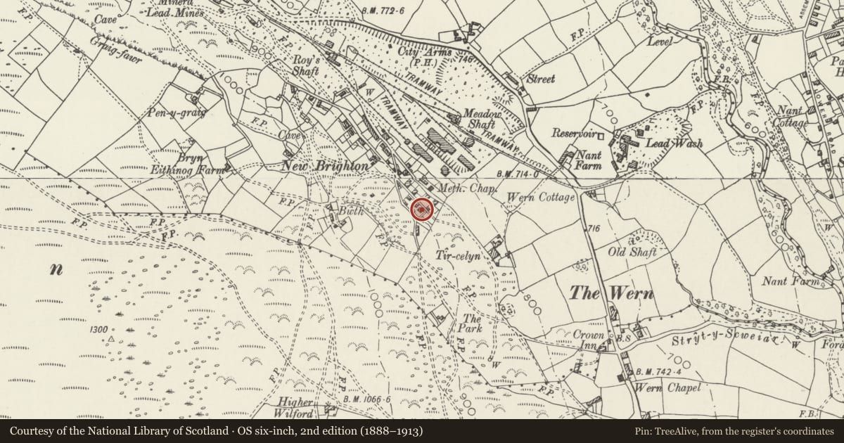Ordnance Survey six-inch map, 2nd edition (1888–1913) covering the location of Jones Cottages, Minera, Wrexham, with a pin at the register's coordinates