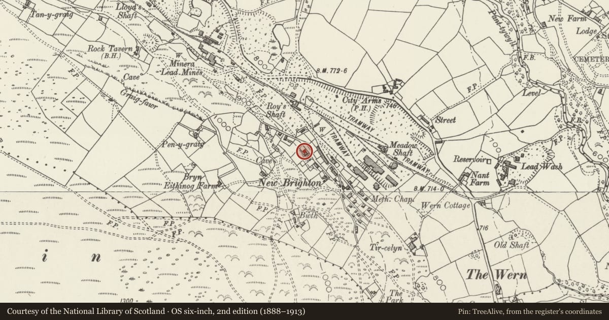 Ordnance Survey six-inch map, 2nd edition (1888–1913) covering the location of Maelor View, Minera, Wrexham, with a pin at the register's coordinates