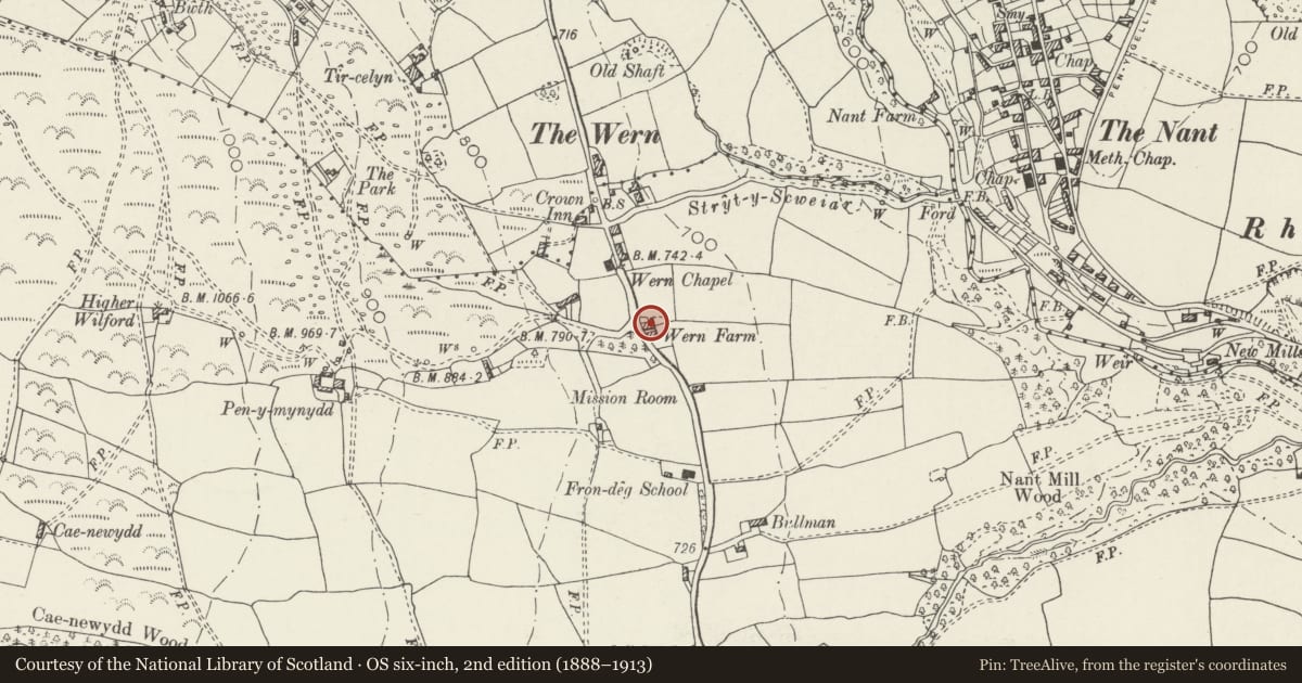 Ordnance Survey six-inch map, 2nd edition (1888–1913) covering the location of Wern Farm, Minera, Wrexham, with a pin at the register's coordinates